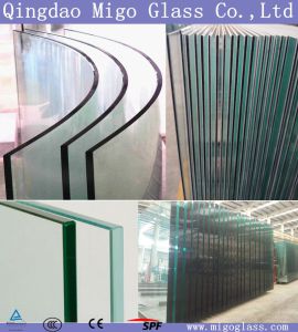 Flat/ Curved Decorative Toughened Tempered Glass for Building, Furniture, Shower Door